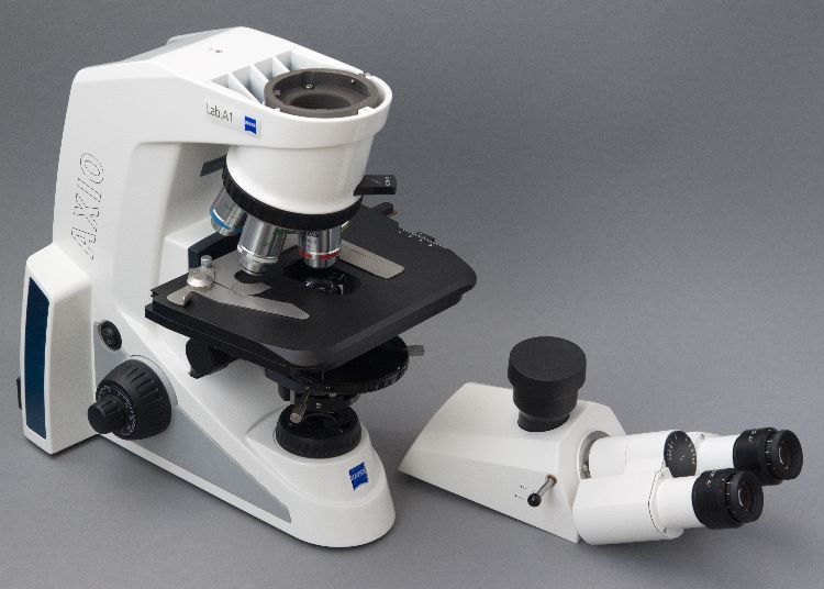 Zeiss Mikroskop