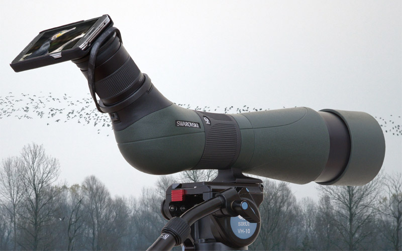 Swarovski Digiscoping Smartphone