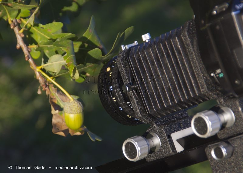 Asahi Pentax Balgengerät. Auto Bellows. Fotografie
Asahi Pentax Balgengerät mit 50mm Objektiv in Retrostellung. Auto Bellows. Fotografie
Schlüsselwörter: Asahi Pentax;Auto Bellows;Balgengerät;Makro;Pentax