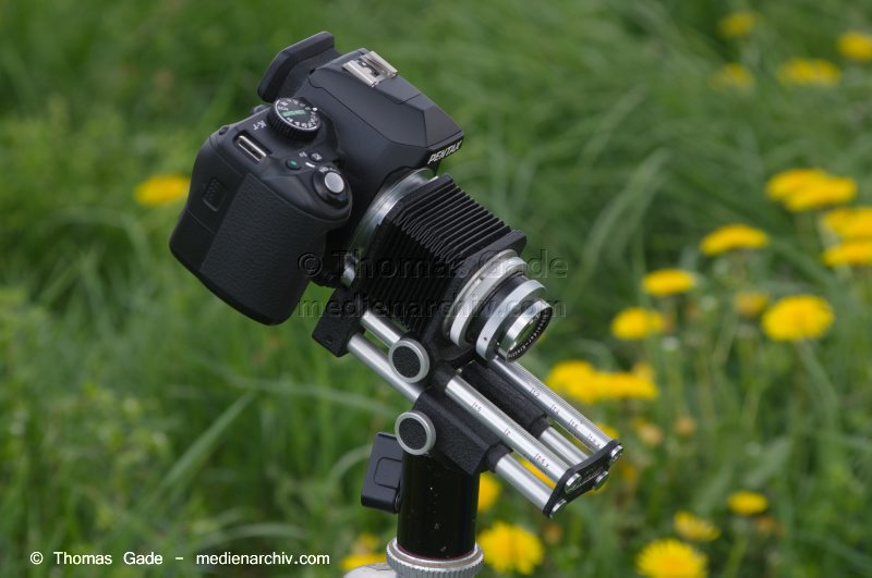 Pentax K-r mit Novoflex Balgengerät und Schneider Kreuznach Xenar 105mm
22. 4. 2014. Fotografie. Kamera. Pentax K-r mit Novoflex Balgengerät und Schneider-Kreuznach Xenar 1:4.5  105mm
Schlüsselwörter: 105mm;2014;Balgengerät;Bellows;Digitale Spiegelreflexkamera;DSLR;Fotoapparat;Fotografie;K-r;Kamera;Macro;Makrofotografie;Novoflex;Objektiv;Pentax;Schneider-Kreuznach;Xenar