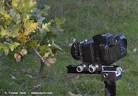 Dateiname=Pentax-Balgen-503.jpg
Dateigröße=129KB
Abmessungen: 800x561
hinzugefügt am: %29. %913 %2014 Pentax-Balgen-503.jpg