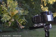 Dateiname=Pentax-Balgen-504.jpg
Dateigröße=112KB
Abmessungen: 800x533
hinzugefügt am: %29. %913 %2014 Pentax-Balgen-504.jpg
