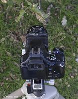 Dateiname=Pentax-Balgen-507.jpg
Dateigröße=117KB
Abmessungen: 635x800
hinzugefügt am: %29. %913 %2014 Pentax-Balgen-507.jpg