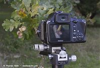 Dateiname=Pentax-Balgen-509.jpg
Dateigröße=90KB
Abmessungen: 800x548
hinzugefügt am: %29. %913 %2014 Pentax-Balgen-509.jpg