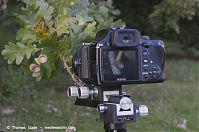 Dateiname=Pentax-Balgen-510.jpg
Dateigröße=88KB
Abmessungen: 800x533
hinzugefügt am: %29. %913 %2014 Pentax-Balgen-510.jpg