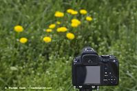 Pentax-K-r-20140422-124.jpg