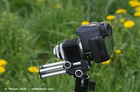 Dateiname=Pentax-K-r-Novoflex-Balgen-Xenar-105mm-20140422-067.jpg
Dateigröße=84KB
Abmessungen: 800x531
hinzugefügt am: %29. %913 %2014 Pentax-K-r-Novoflex-Balgen-Xenar-105mm-20140422-067.jpg