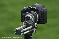 Pentax-K-r-Novoflex-Balgen-Xenar-105mm-20140422-082.jpg